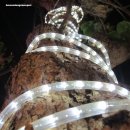 12V LED-Lichtschlauch 13mm weiß 15m Rolle