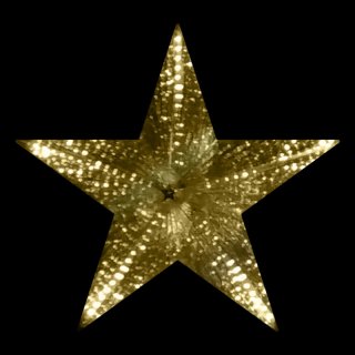 Snowfall Echo Star gold 60cm 36V